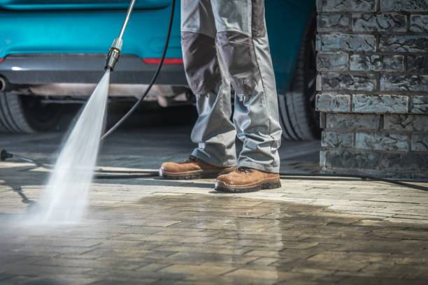 Best Window and Screen Pressure Cleaning in Mendota, IL